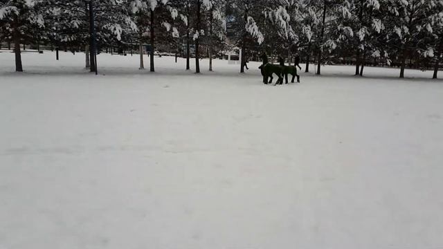 Сказочный парк