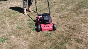 Sovereign mower Briggs & Stratton 450 engine 148cc 2009MY