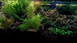 ч.1 WRGB светильник для аквариума своими руками.