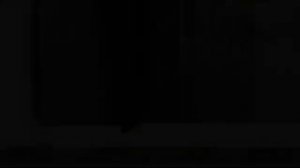 Close Up (+4) Macro Lens for Nikon Coolpix P600