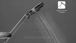 Душевая лейка Swedbe Calypso арт.5051, 3 режима