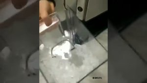 ЛЬДОДРОБИТЕЛЬ. ИЗМЕЛЬЧИТЕЛЬ ЛЬДА, ВЛАДИВОСТОК