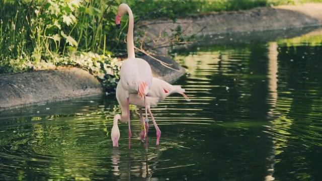 @nature_life685 #животныймир #удивительноерядом #природа #планетаземля #nature #earth #life
