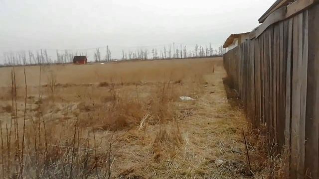 Шашлык из перепелок. Инкубация гусей. Бесплатное сено. Один день из жизни в деревне. Утаенная жизнь