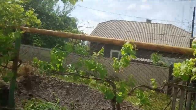 Хурма, зизифус и инжир отправляются в монастырь. смотреть онлайн