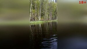 РЫБАЛКА на живца I Ловля ЩУКИ НА РОГАТКИ И КРУЖКИ