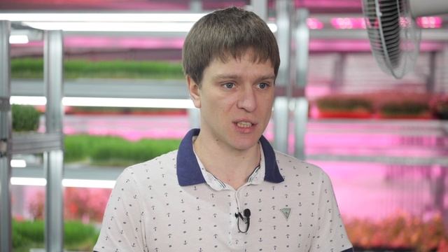 Как вырастить микрозелень дома? Выращивание горошка от А до Я.