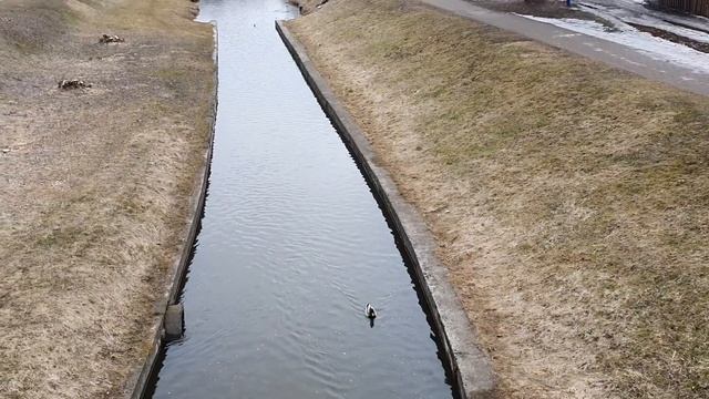 САМЫЕ ПОДЛЫЕ ЗНАКИ ЗОДИАКА. Кто на 1 месте? [рейтинг]. смотреть онлайн