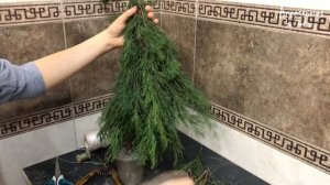 Елка из веток можжевельника | Новогодняя композиция в вазу | Новогодний декор | Christmas tree