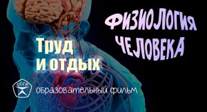 Труд и отдых.