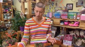 Гаултерия - прекрасная незнакомка и плодоносящее растение. Давайте знакомиться ближе.