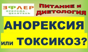 АНОРЕКСИЯ. ЧТО НА САМОМ ДЕЛЕ ПРОИСХОДИТ ПРИ ТАКОМ ДИАГНОЗЕ? ВОЗМОЖНА ЛИ ГОЛОДНАЯ СМЕРТЬ? ТОКСИКОЗ.