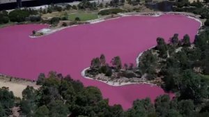 Hillier розовое озеро, Австралия