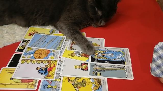 Точка или пауза? Что Вы должны понять о ваших отношениях?