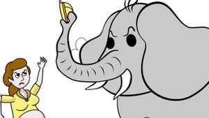 Alex the Explorer in The Jungle - Funny Doodles Animation