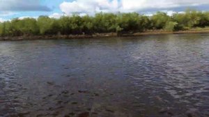 Тундра 380 + Golfstream F6ABMS