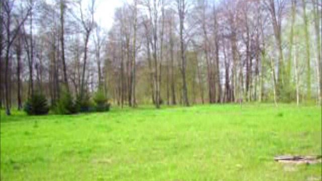 ПАСХА 20 апр 2014