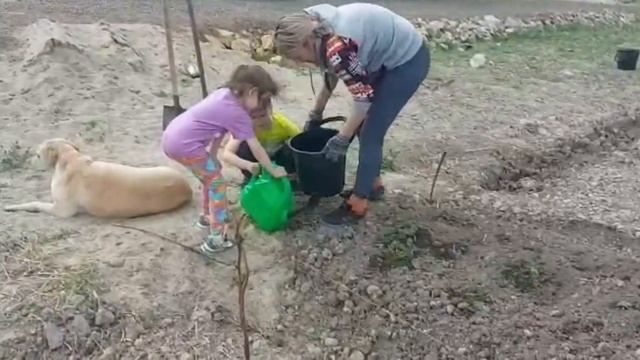 1 Карасева З.В. Лучший семейный дачный совет. Уссурийск