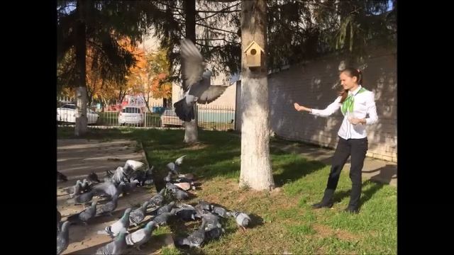 День защиты животных смотреть онлайн