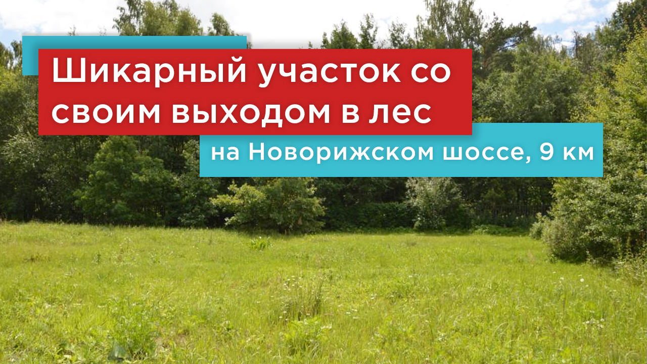 Шикарный прилесной участок в Николо-Урюпино со своим выходом в лес на Новой Риге.