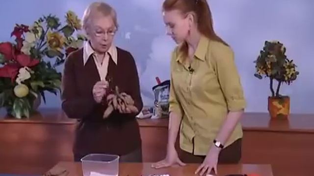 Хранение георгины зимой - уДачные советы смотреть онлайн