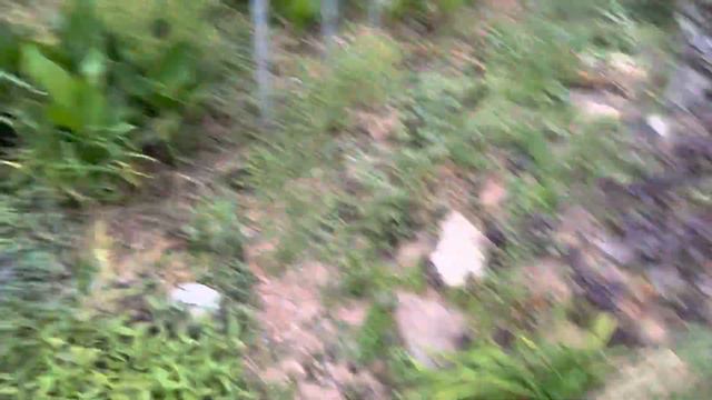 TCs OH-6 (RC ERA C129 V2) смотреть онлайн