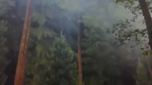 Забор чудовищных размеров. Что это ?