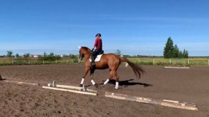 УПРАЖНЕНИЯ НА СЕРПАНТИНЕ, НА ГАЛОПЕ