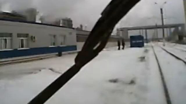 газель атакует