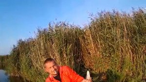 Ловля щуки с лодки за Ушаковским прудом Курский район