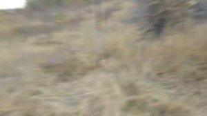 Орнитологическая сеть офигенное новое место ловли 20 10 19.mp4