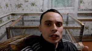 Зеленая Планета / Планы на будущее / Сыр / Перепела / Копчение / Бройлеры