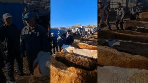 Скотский рынок!Мал Базар!Как выглядит из нутри