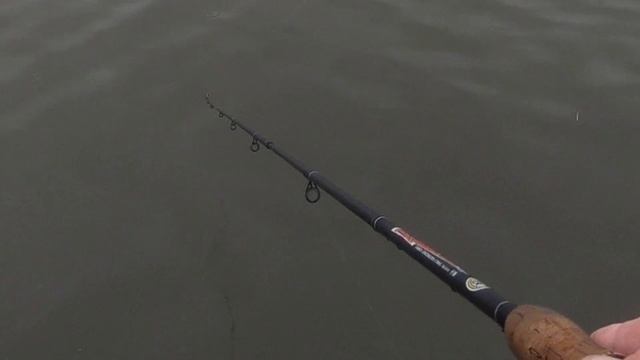 Поклёвки форели на магот смотреть онлайн