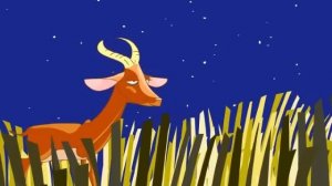 IL LEONE SI E' ADDORMENTATO | Marty e i suoi amici - Canzoni Per Bambini