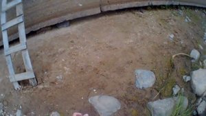 А зря Вы Летом не ловите Плотву на Удочку на Такую Насадку, а Могли бы Поймать Много