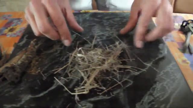 Немного о растопках для костра в дикой природе смотреть онлайн