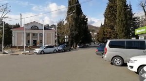 Сочи. Хоста в марте.