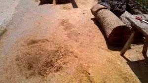 Заготовка доски в домашних условиях