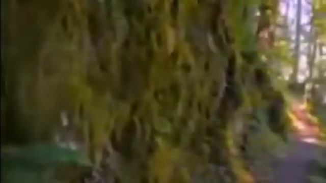 как внутреннее состояние мира и любви влияет на внешний мир смотреть онлайн