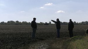 В Воронежской области заморозки повредили сотни тысяч гектаров посевов