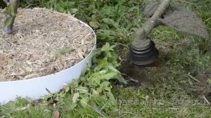 Приствольный круг из металла окашиваем триммером