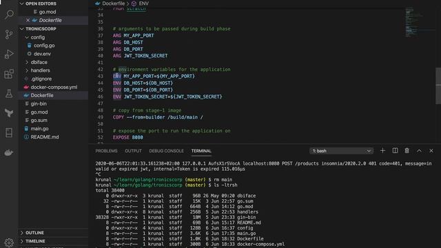 RESTful API in Golang using Echo - Source code and Dockerize смотреть онлайн