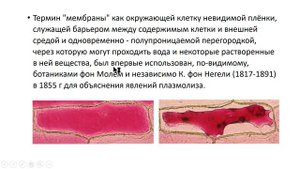 Биомембрана. Понятие.