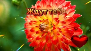 С добрым утром! Вот и вторник! Поздравляю!???? Красивая музыкальная открытка со Вторником!?