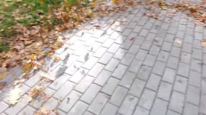 Воздуходувка Oleo-Mac BV 270