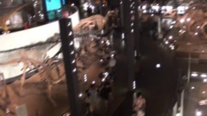 +ﾟ｡ ☆.｡₀:*ﾟ✲ﾟ Крупнейший музей ДИНОЗАВРОВ в Японии! ☆.｡₀:*ﾟ✲ﾟ+