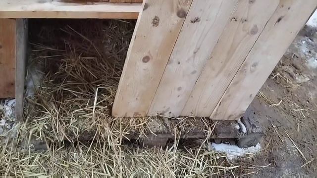 Подарки приюту и веселье собачуль / Приют для собак г Ефремов