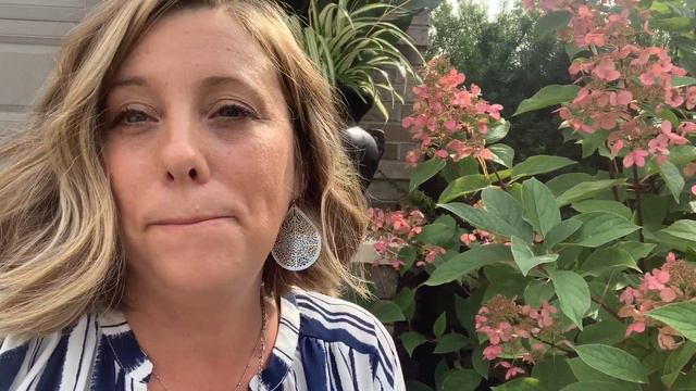 End of September Hydrangea Highlight смотреть онлайн