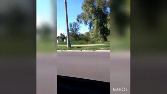 Я на пляже с бабушкой смотреть онлайн